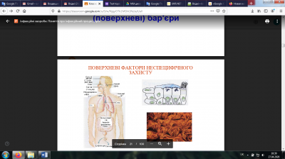 СЕКЦІЯ «МЕДИЦИНА»