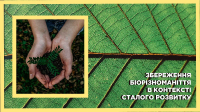 Презентація інтелектуальних здобутків на Львівській Міжнародній конференції