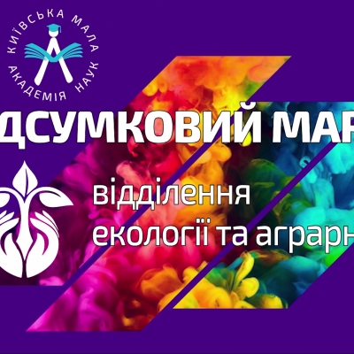 «Екологічний детектив» або сходинки успіху