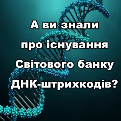 Як потрапити до Світового банку ДНК: молекулярна ідентифікація видів