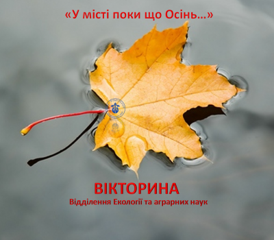 До Всесвітнього дня дитини подарунок: вікторина «У місті поки що Осінь...»