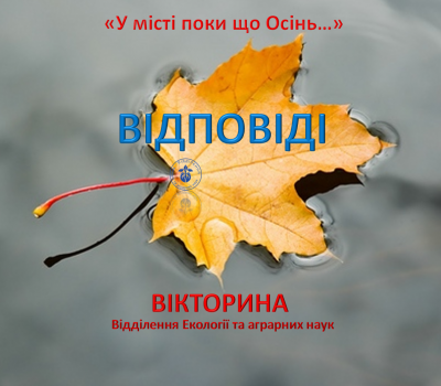 Вікторина «У місті поки що Осінь…»: відповіді на запитання