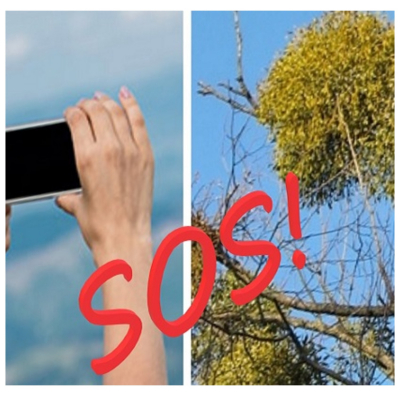 «SOS: ОМЕЛА» або «Алло! Ми шукаємо тебе, волонтер!»