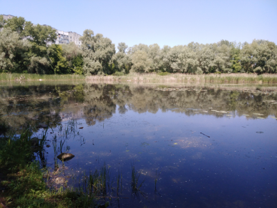 Сезон польових досліджень відкрито!