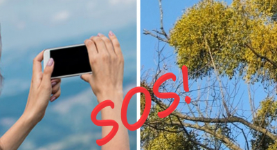 Проект Відділення екології та аграрних наук "SOS"